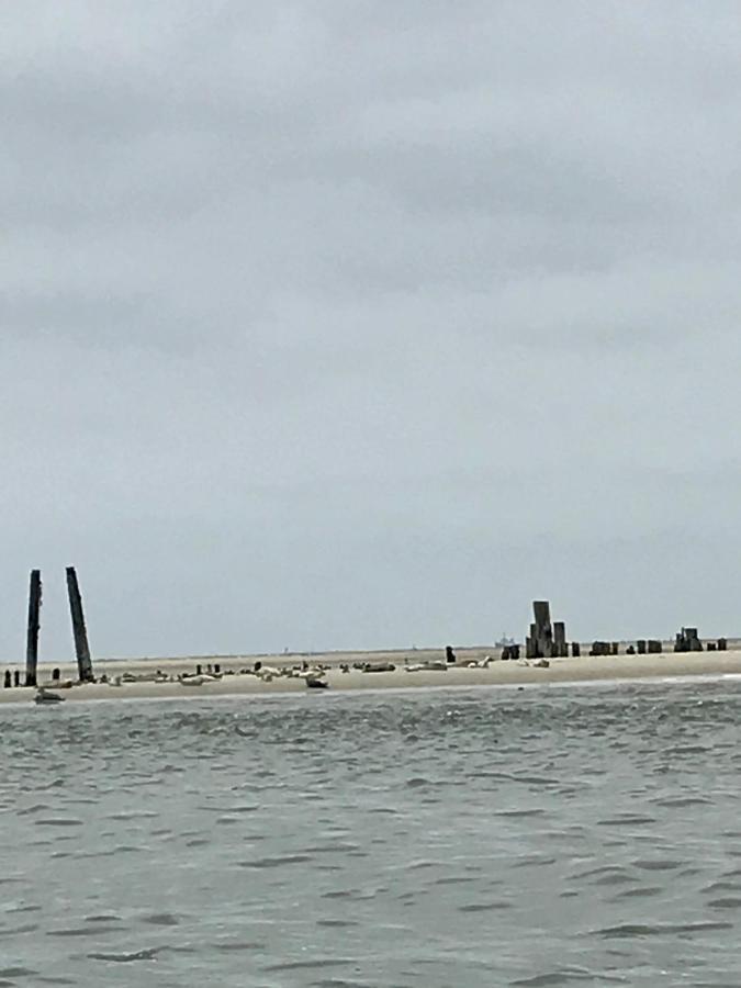 Nordsee Ferienhaus 9 Personen Schillig Exterior foto